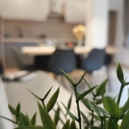Apartma Bella Nadiza Kobarid Exterior foto